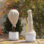 Frostbeskyttelsesplante fleece Beige 100 x 1,6 m Non-woven stof