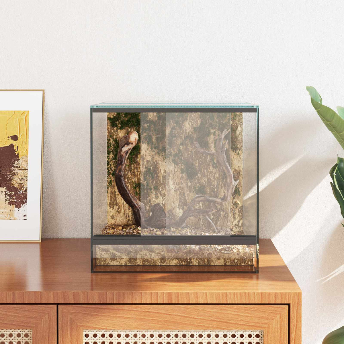 Terrarium med opbevaring Transparent 30 x 30 x 30 cm Glas