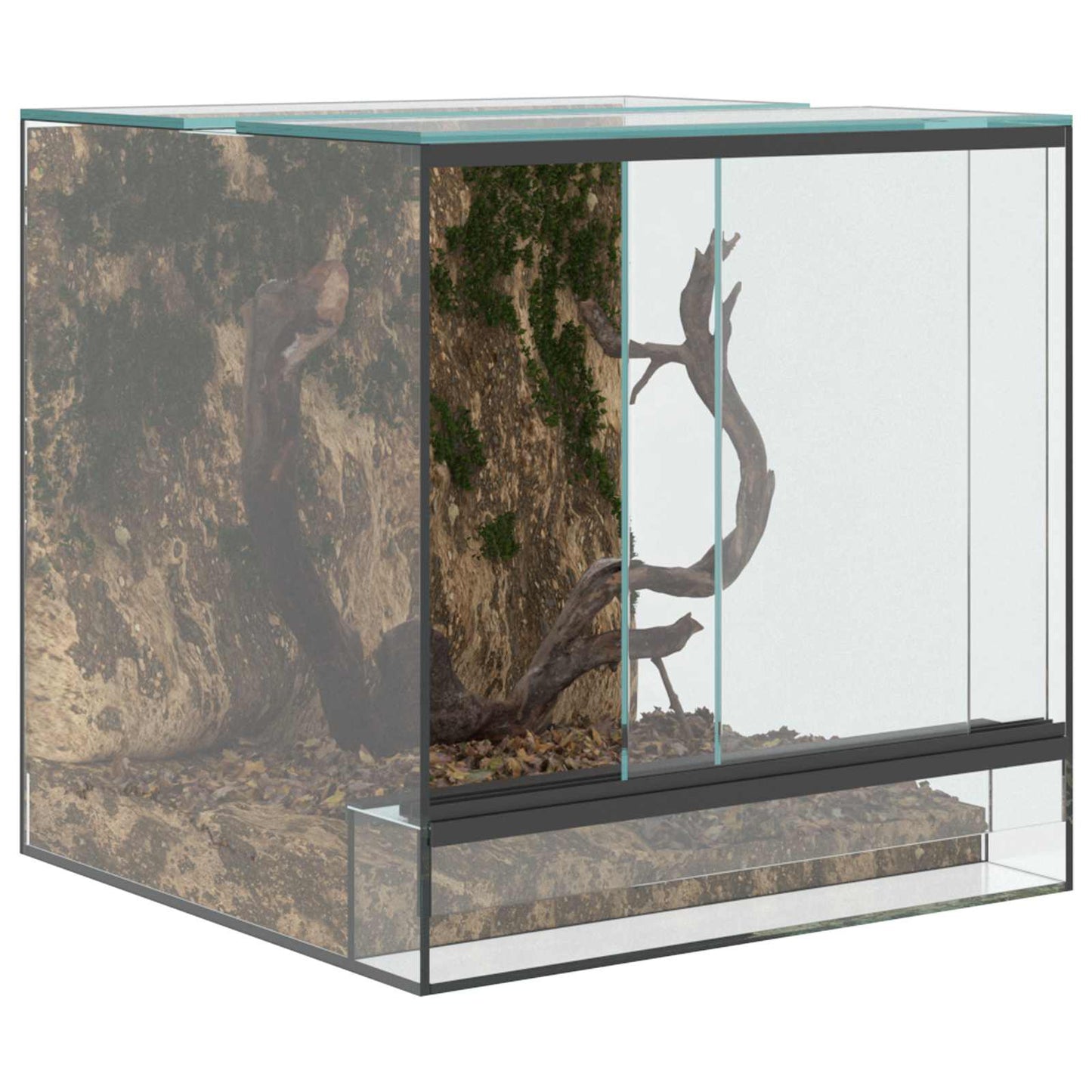 Terrarium med opbevaring Transparent 30 x 30 x 30 cm Glas