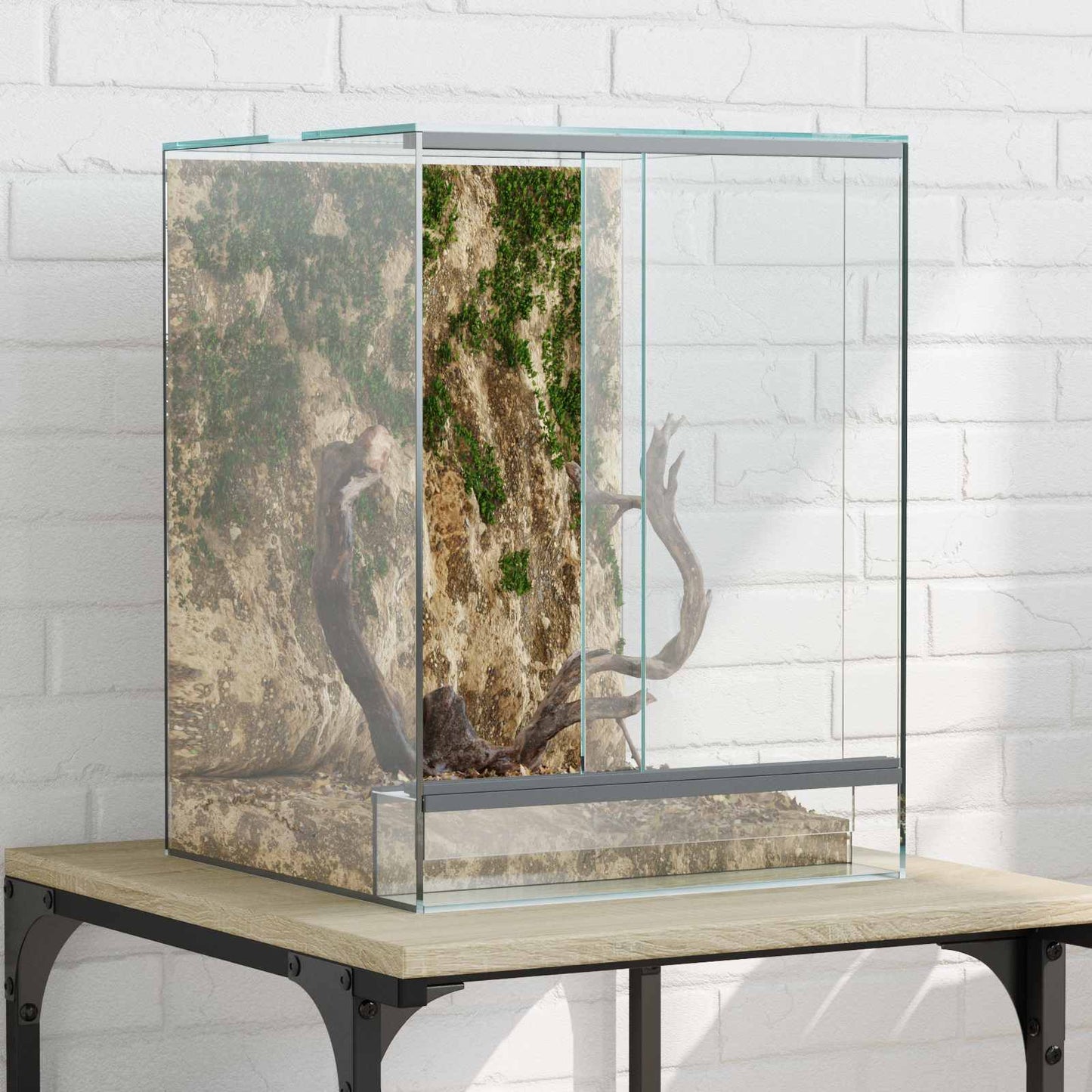 Terrarium med opbevaring Transparent 30 x 30 x 40 cm Glas
