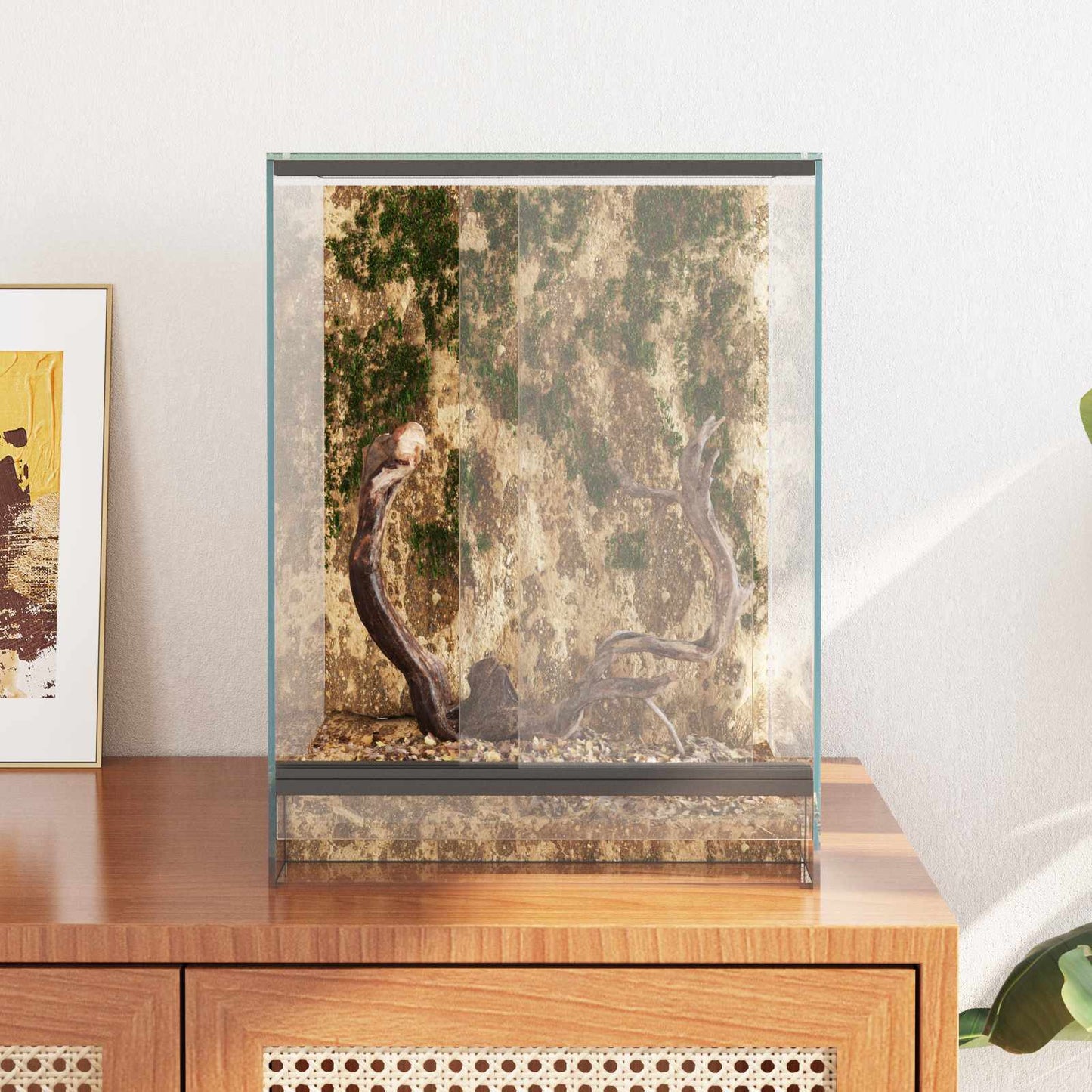 Terrarium med opbevaring Transparent 30 x 30 x 40 cm Glas