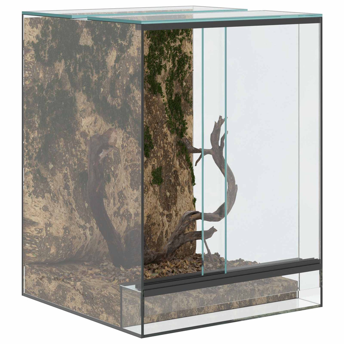 Terrarium med opbevaring Transparent 30 x 30 x 40 cm Glas