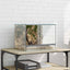 Terrarium med opbevaring Transparent 40 x 30 x 30 cm Glas