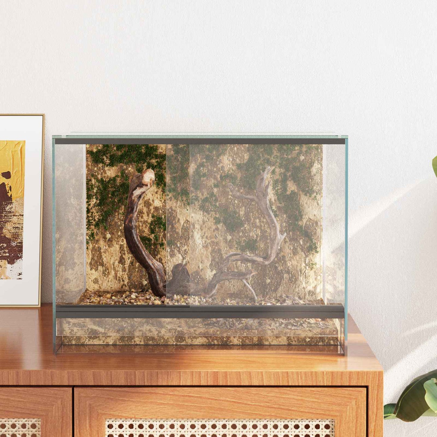 Terrarium med opbevaring Transparent 40 x 30 x 30 cm Glas