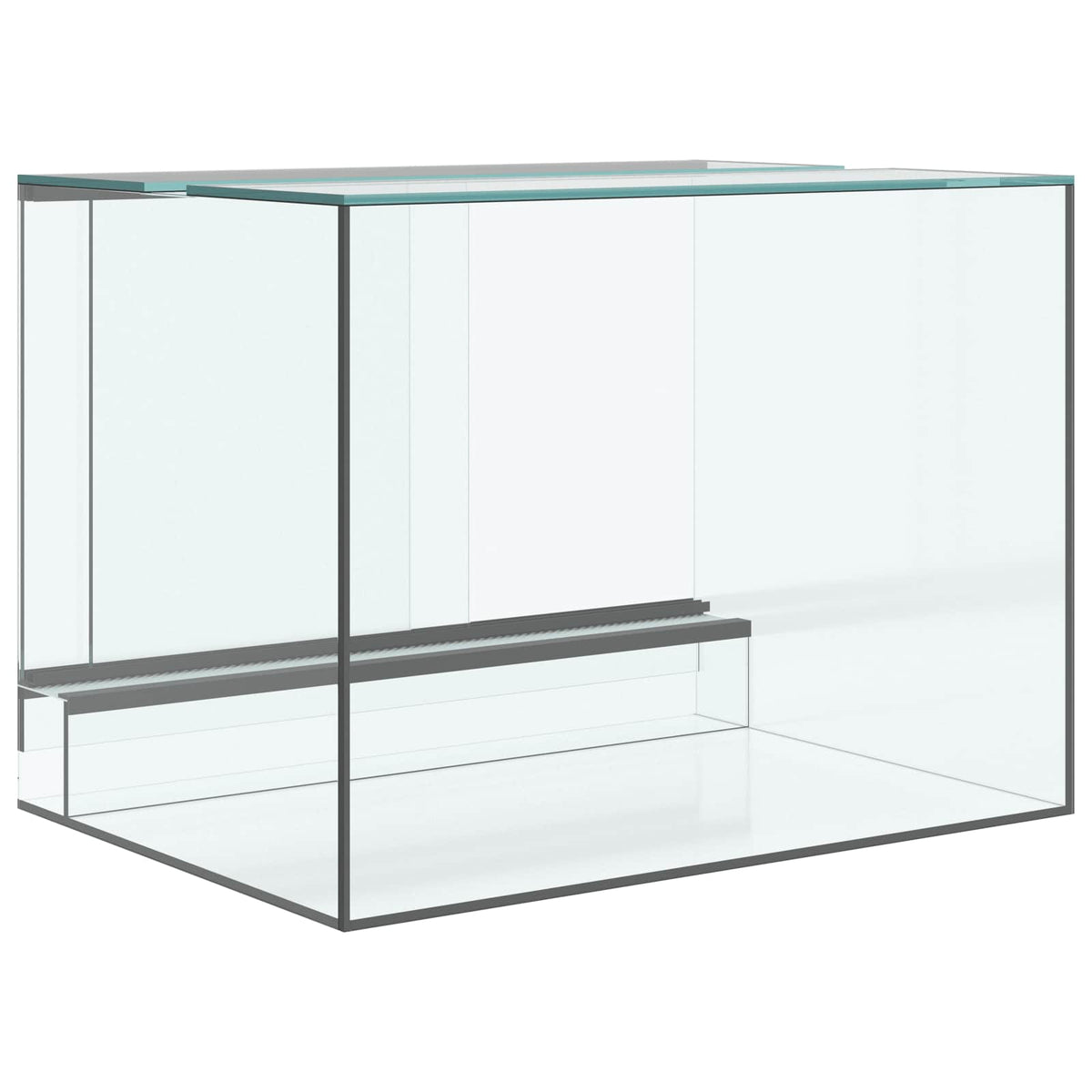 Terrarium med opbevaring Transparent 40 x 30 x 30 cm Glas