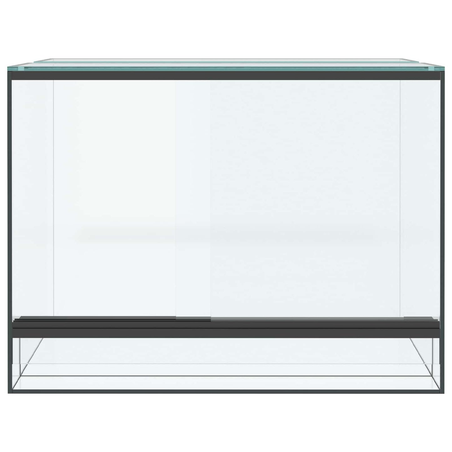 Terrarium med opbevaring Transparent 40 x 30 x 30 cm Glas