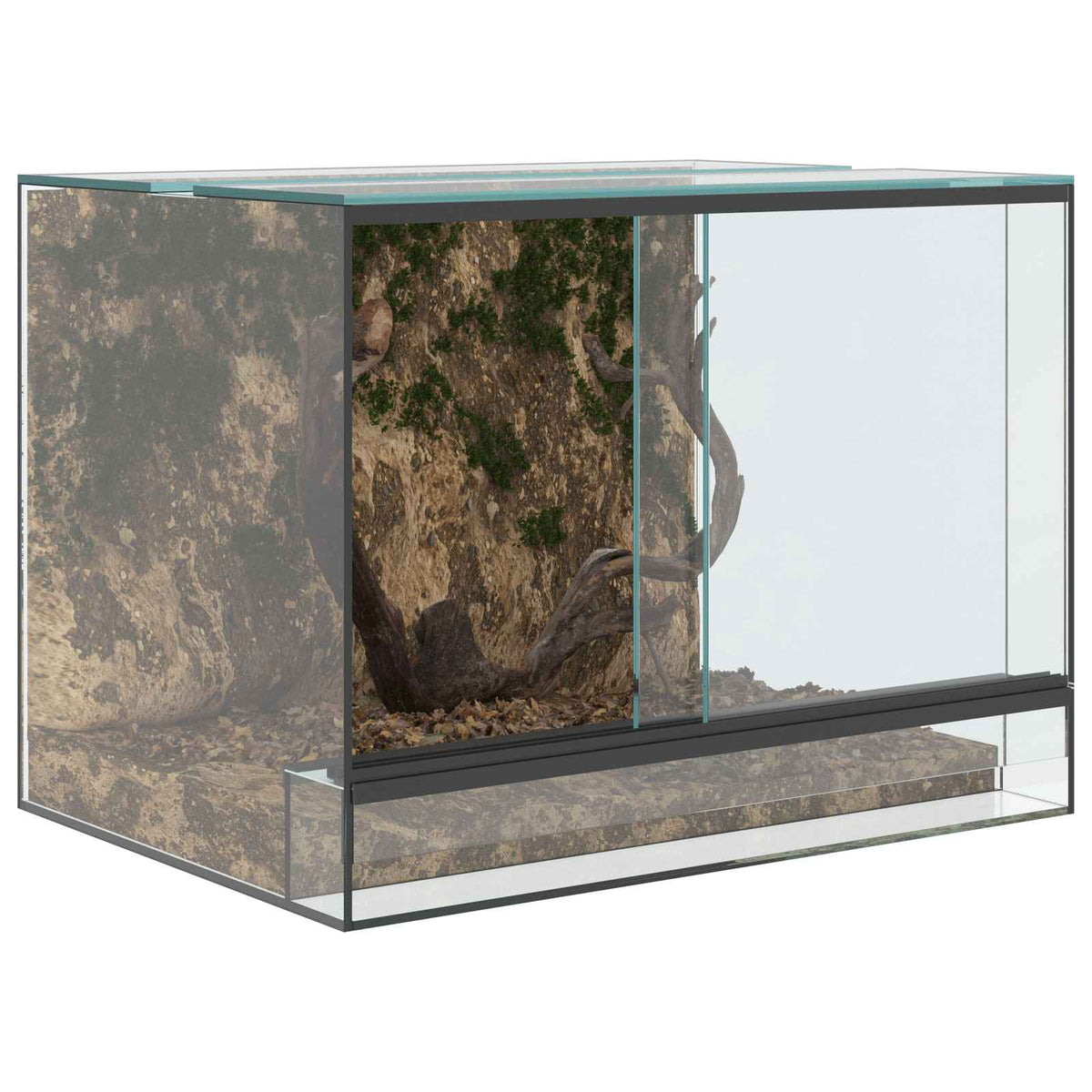 Terrarium med opbevaring Transparent 40 x 30 x 30 cm Glas