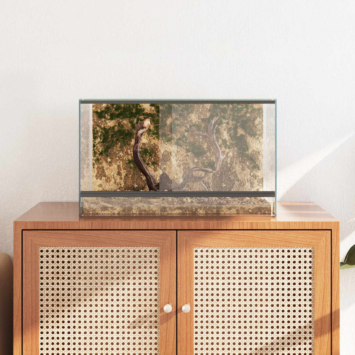 Terrarium med opbevaring Transparent 50 x 30 x 30 cm Glas