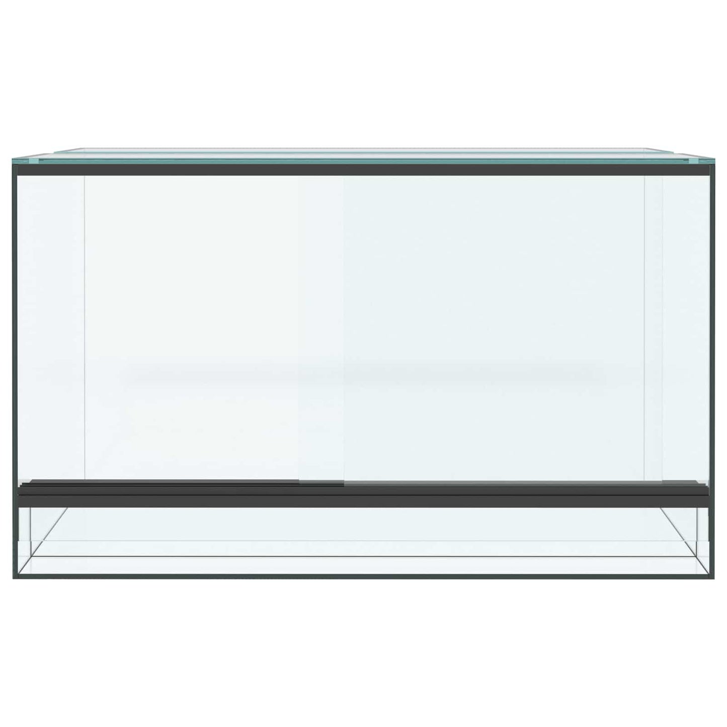 Terrarium med opbevaring Transparent 50 x 30 x 30 cm Glas
