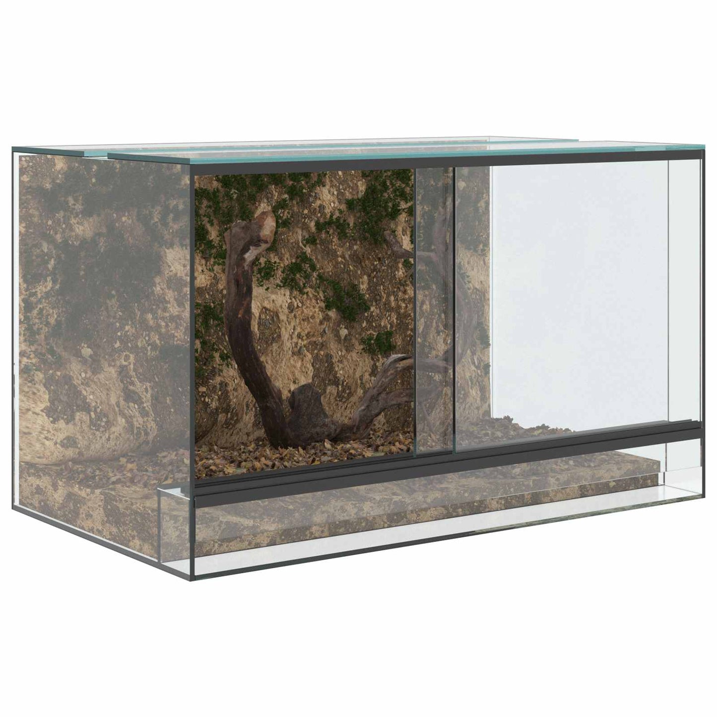 Terrarium med opbevaring Transparent 50 x 30 x 30 cm Glas