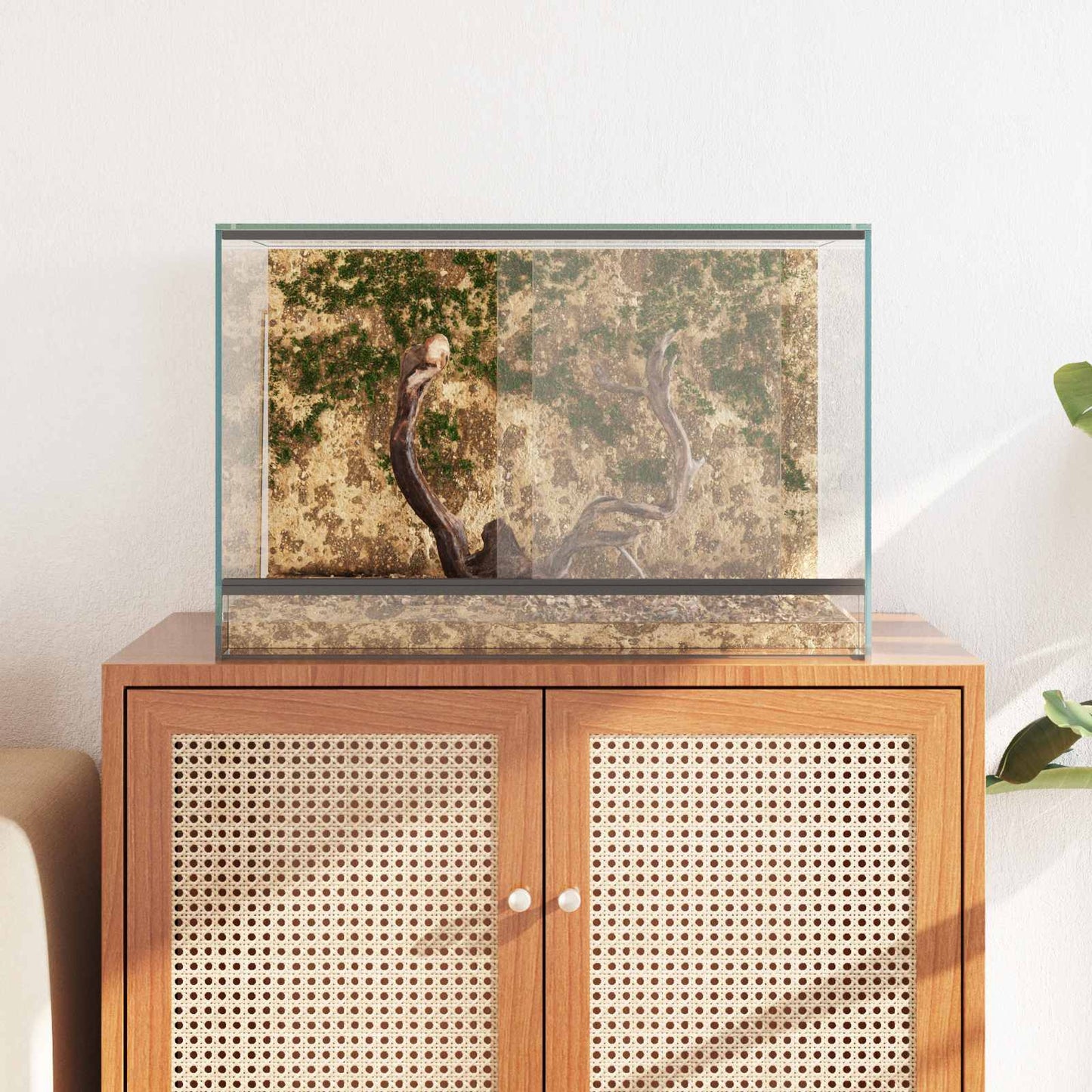 Terrarium med opbevaring Transparent 60 x 40 x 40 cm Glas