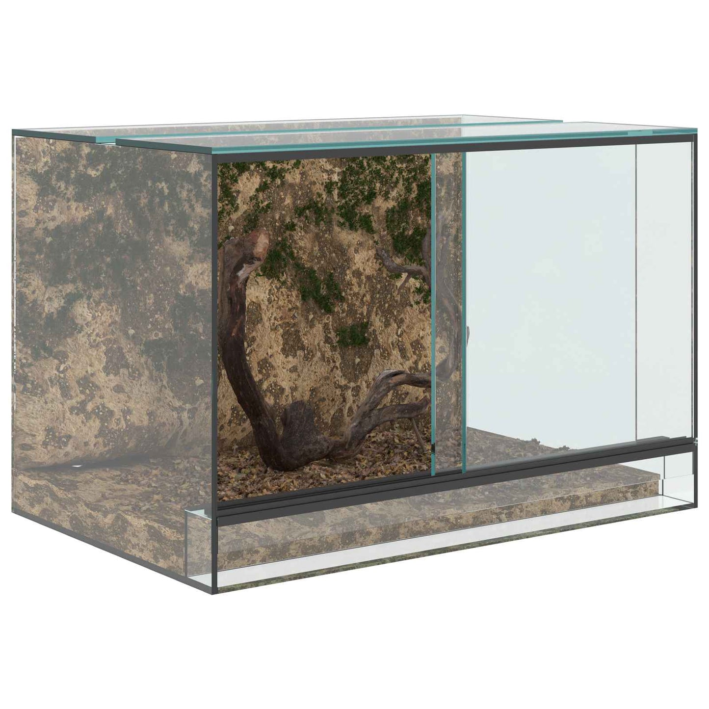 Terrarium med opbevaring Transparent 60 x 40 x 40 cm Glas