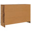 Sideboard Gammelt træ 100 x 30 x 65,6 Konstrueret træ