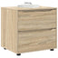 Opbevaringsskab 60 x 48 x 57 cm Konstrueret træ Sonoma eg