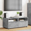 TV-skab 100 x 48 x 43 cm Beton Grå Konstrueret træ