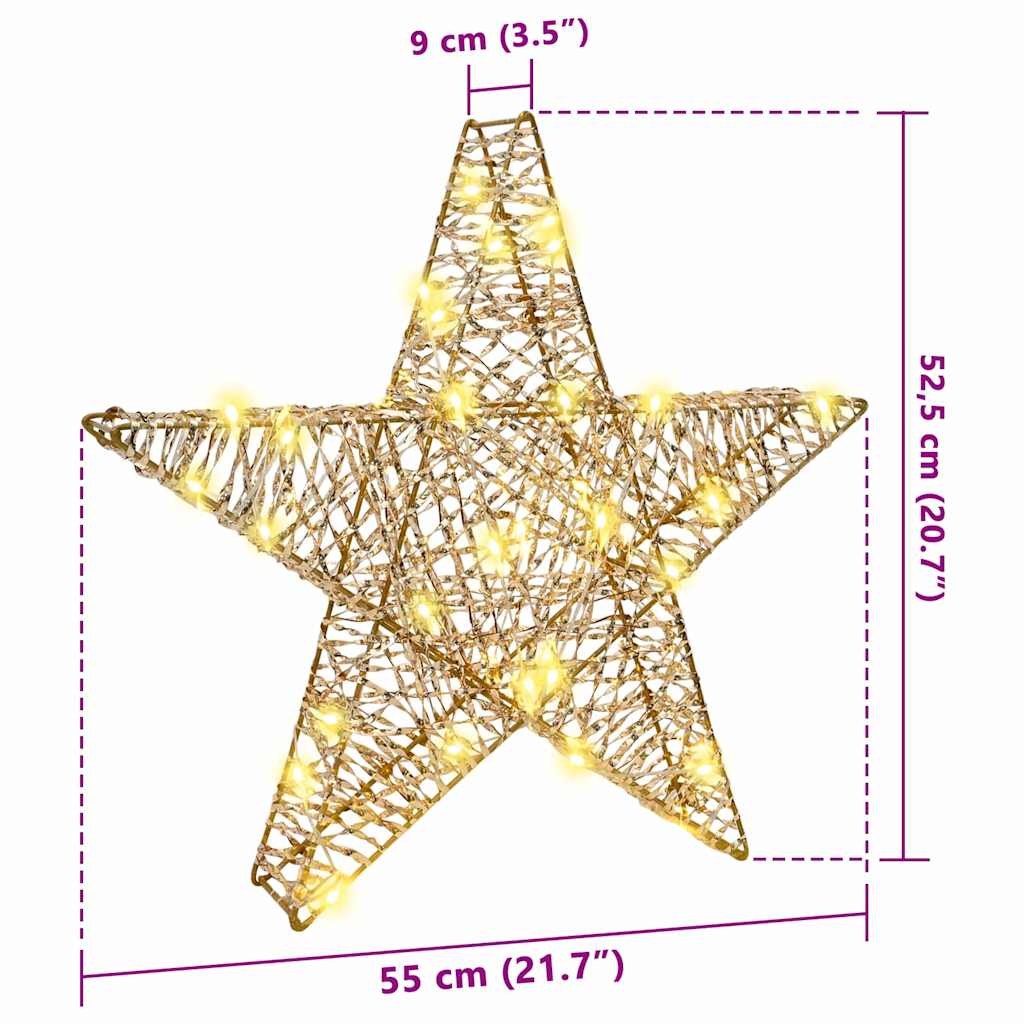 3D Stjerne 50 LED'er Varm hvid 55 x 52,5 x 9 cm PET