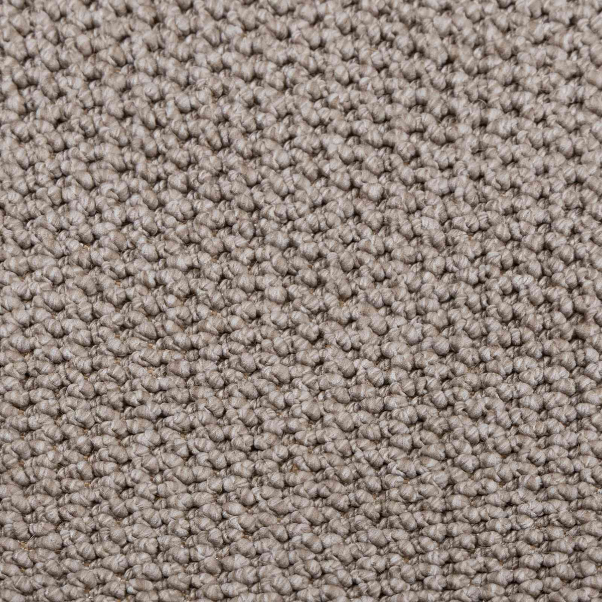 Indendørs tæppe LUGO Creme og Taupe 240 x 340 cm Polyester