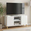 TV-skab 102 x 34,5 x 50 cm Hvid højglans Konstrueret træ