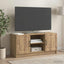 TV-skab 102 x 34,5 x 47 cm Artisan-eg Konstrueret træ