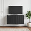 Væghængt TV-skab 59,5 x 41 x 30 cm Sort Konstrueret træ