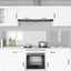 Køkkenbacksplash 2 stk. Transparent 110 x 50 cm hærdet glas
