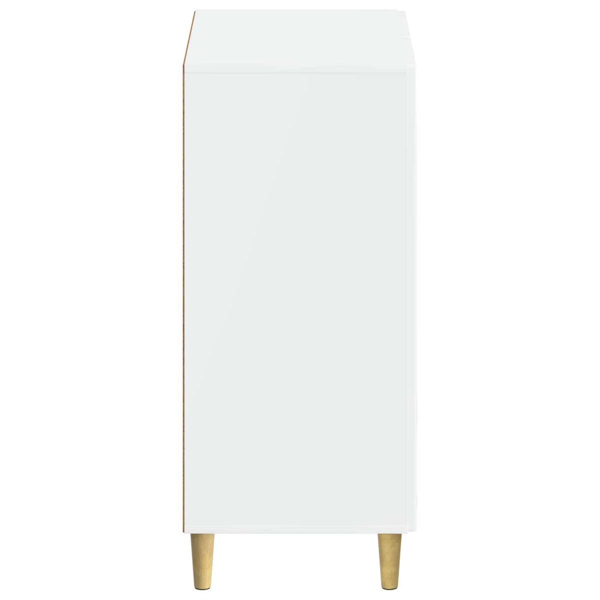 Sko skab ARNHEM 59,5 x 39,5 x 90 cm Konstrueret træ