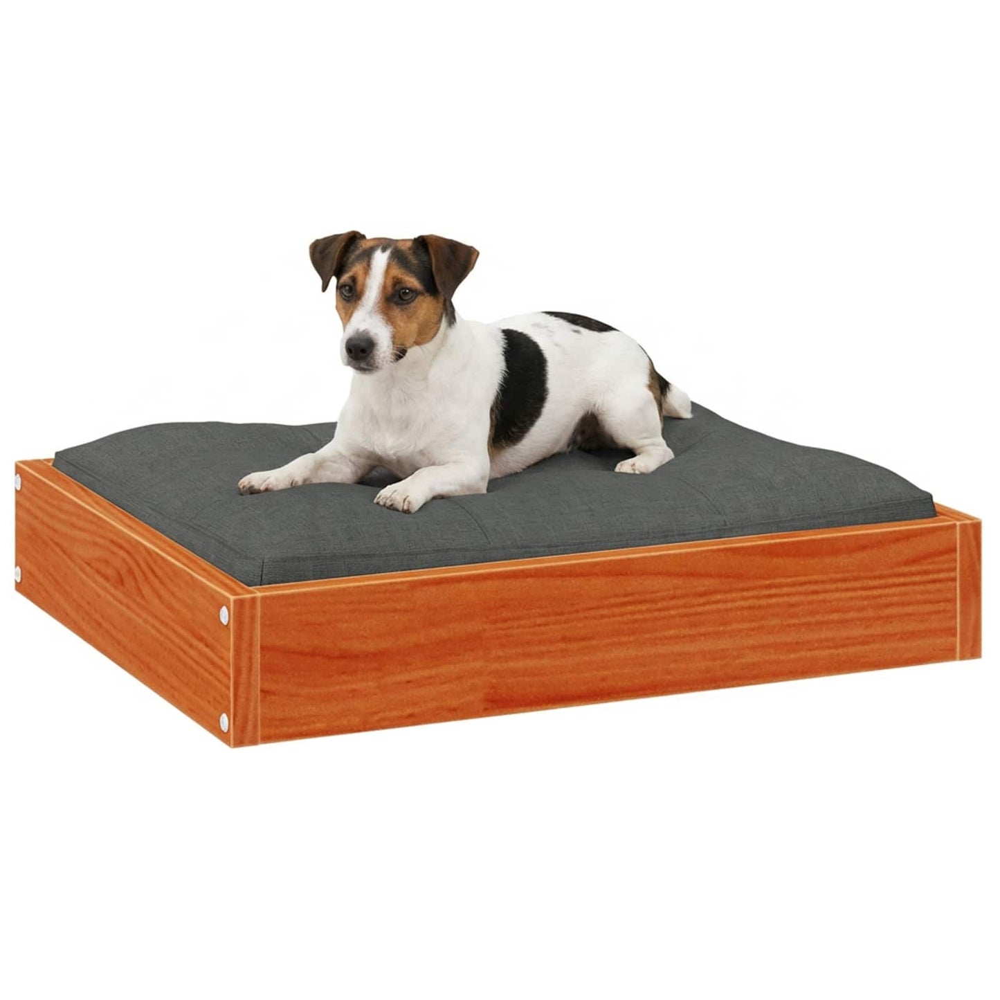 Hundeseng Voks brun 51,5 x 44 x 9 cm Massivt fyrretræ