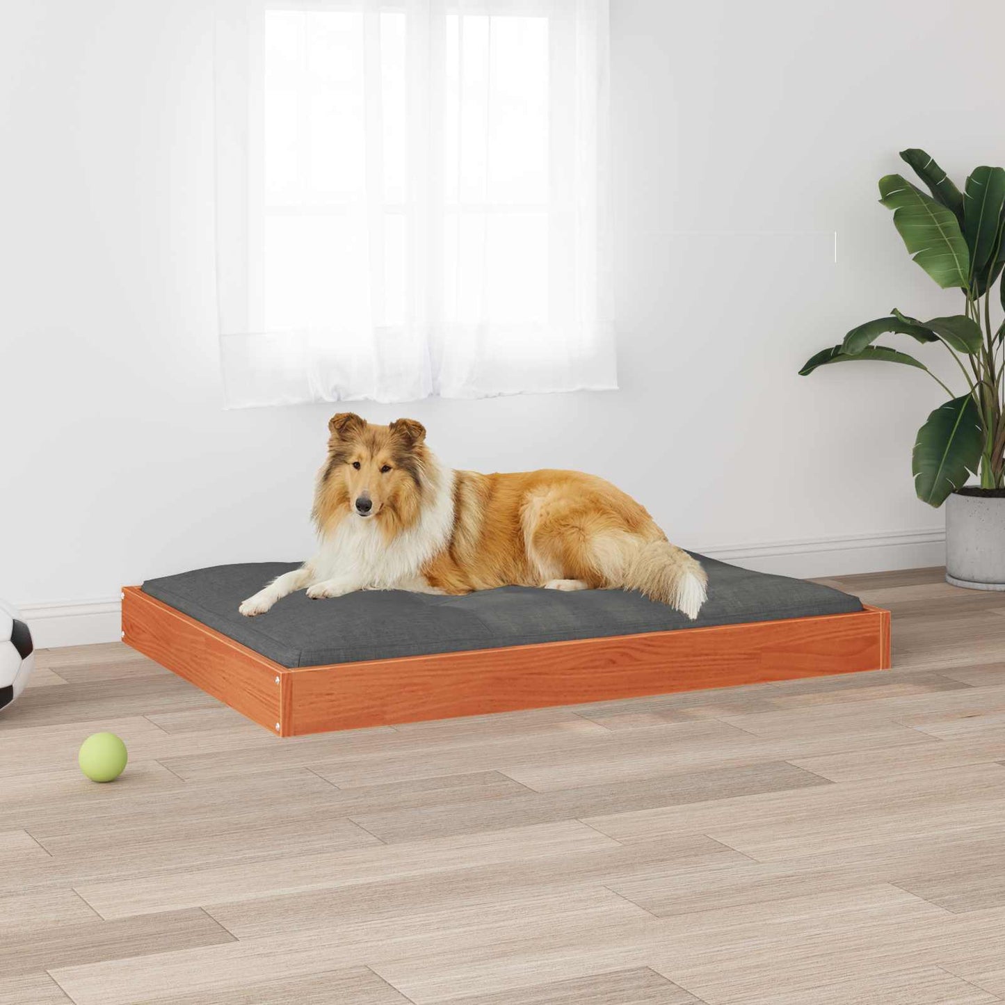 Hundeseng 101,5 x 74 x 9 cm Massivt fyrretræ