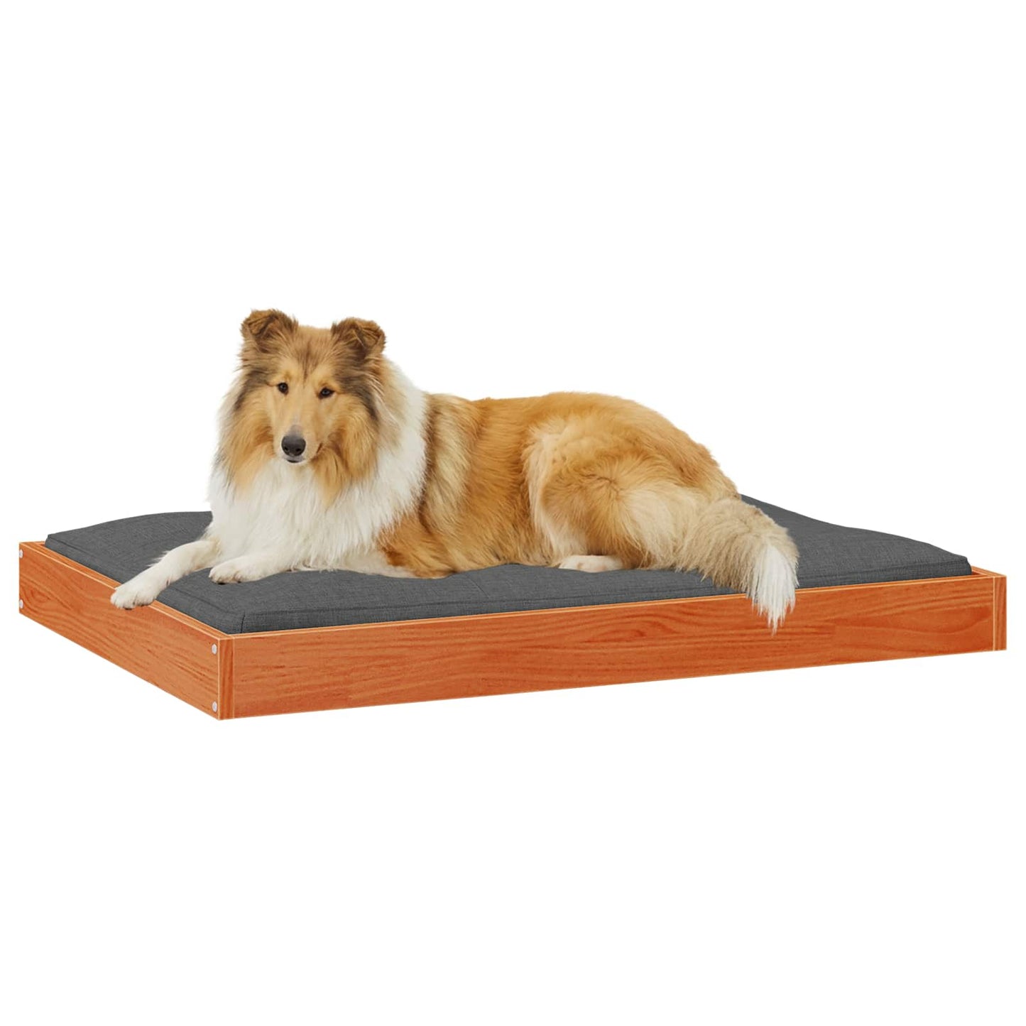 Hundeseng 101,5 x 74 x 9 cm Massivt fyrretræ