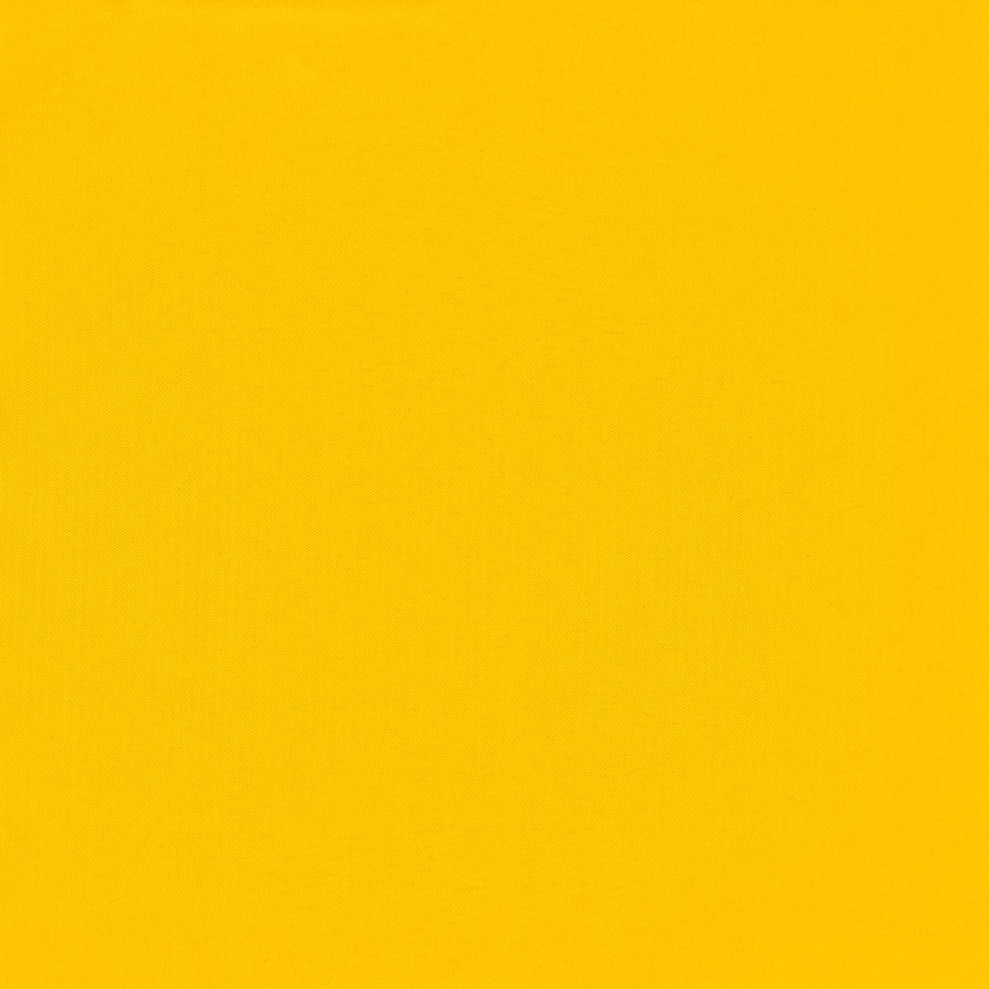 Altan Skærm 100 x 300 cm Oxford stof Rektangulær Gul