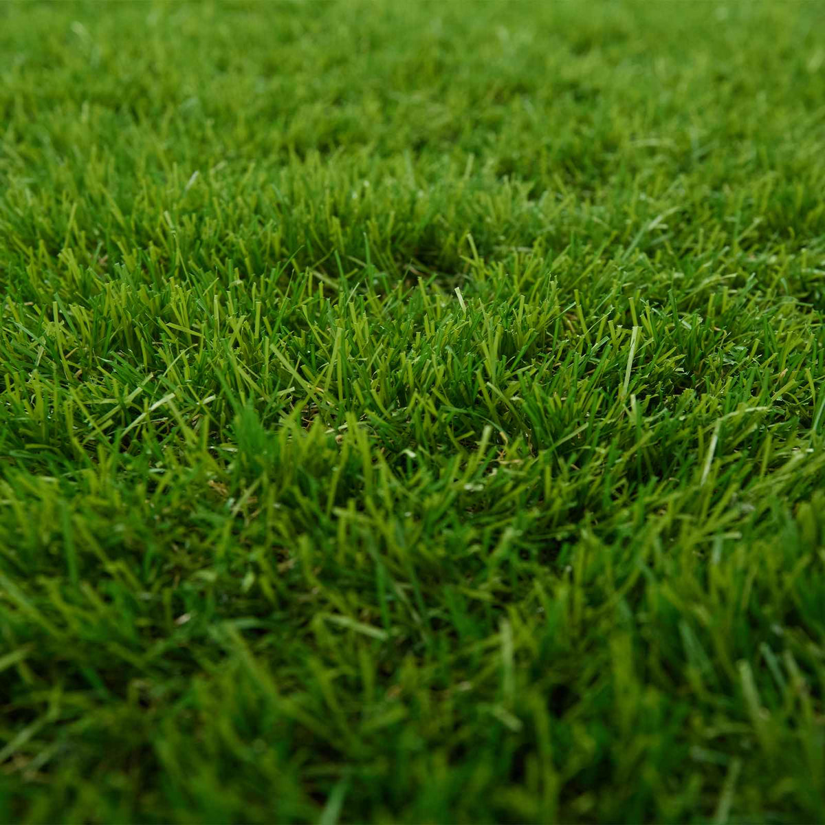 Kunstgræs 100 x 200 cm Green PP & PE