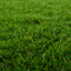 Kunstgræs Grøn 1 x 8 m / 50 mm PP & PE