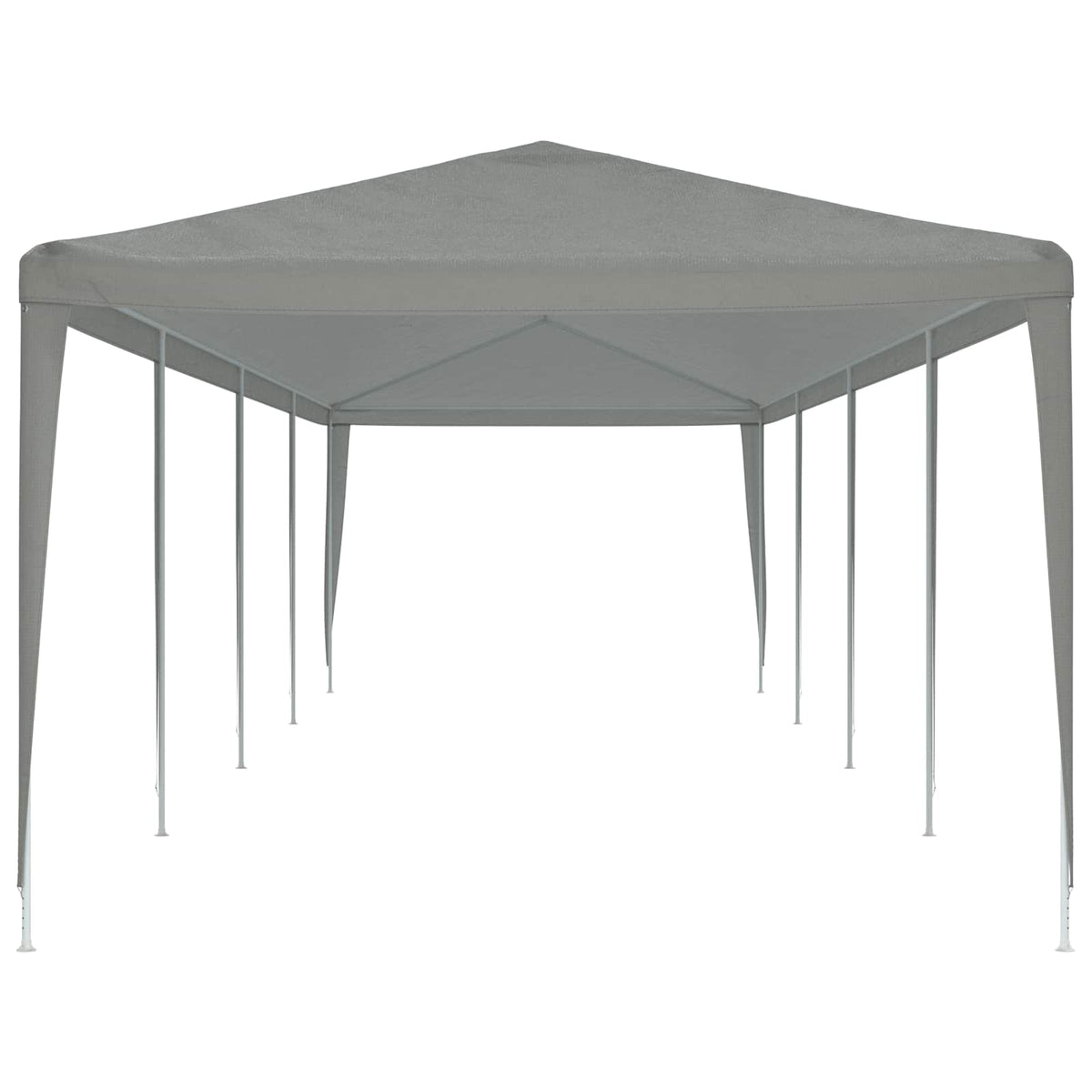 Party Tent Lysegrå 1200 x 300 x 255 cm PE og stål