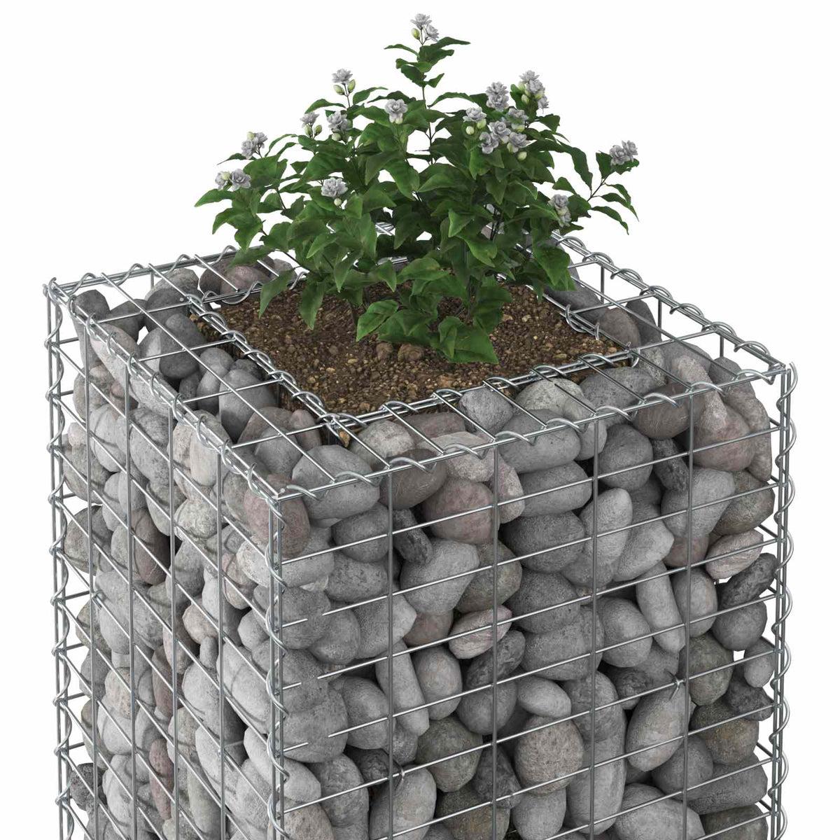 Gabion højbed 50 x 50 x 150 cm Galvaniseret stål Sølv