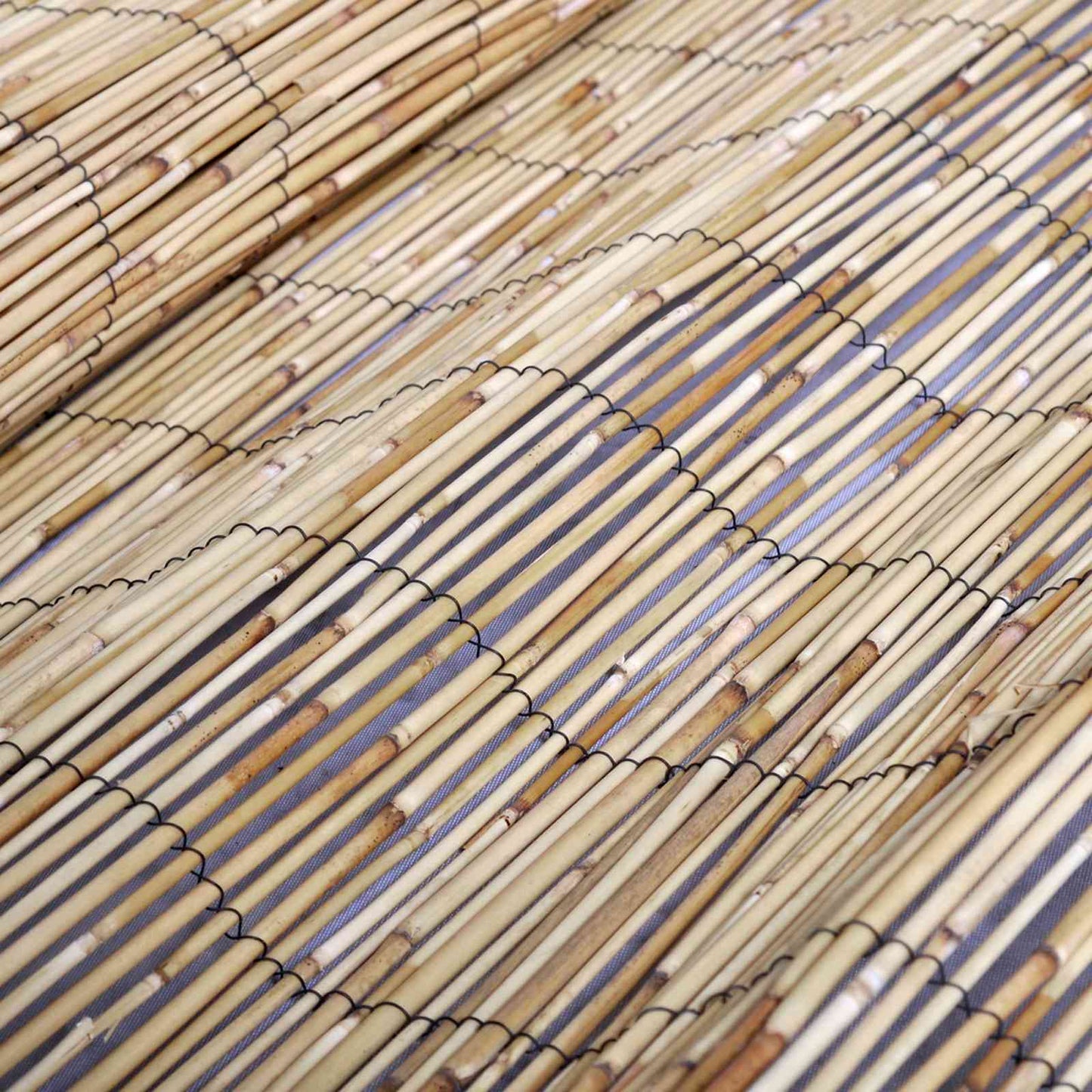 Havehegn 400 x 90 cm Rør Naturfarvet