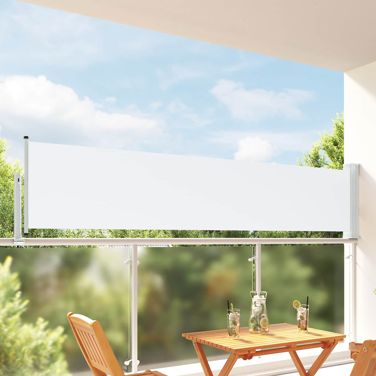 Side Markise 80 x 300 cm 100% polyester jern stål Rektangulær