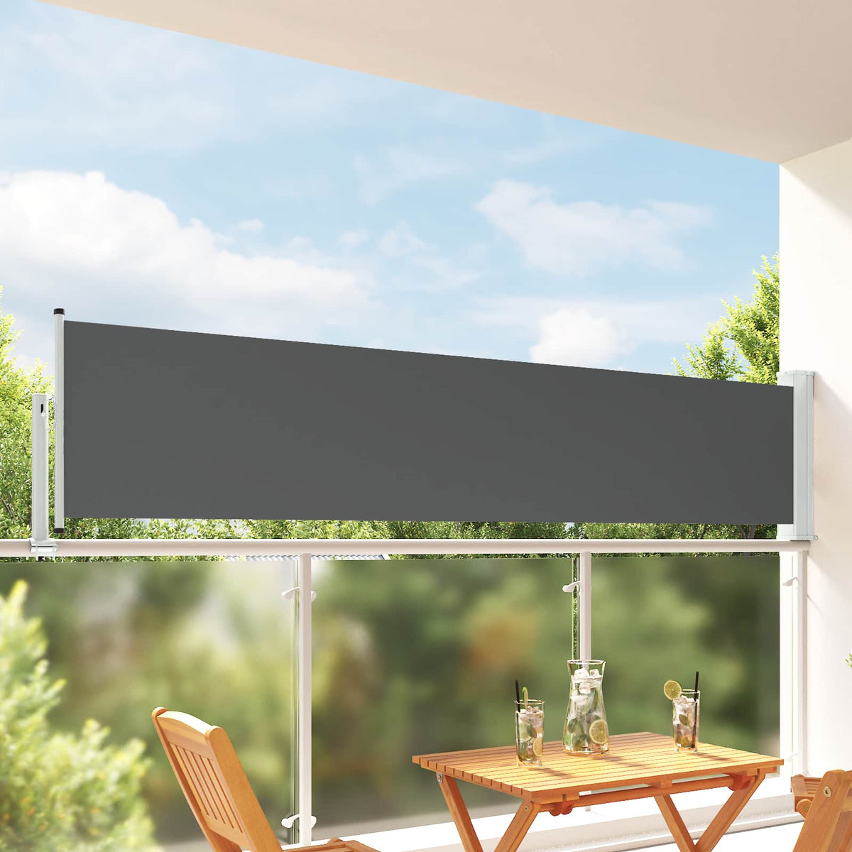 Side Markise 80 x 300 cm 100% polyester jern stål Rektangulær