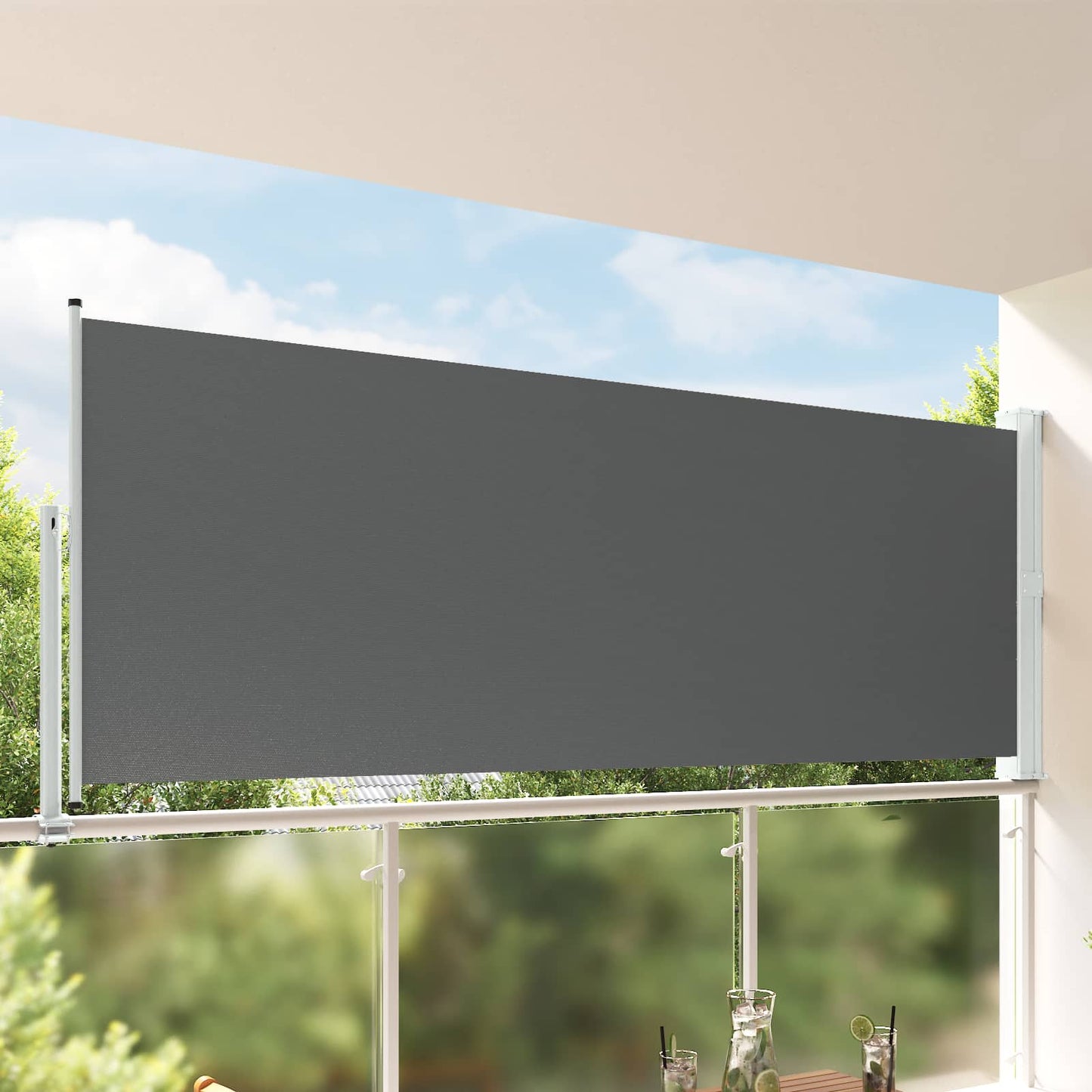 Side Markise Antracit 160 x 300 cm Polyester Rektangulær