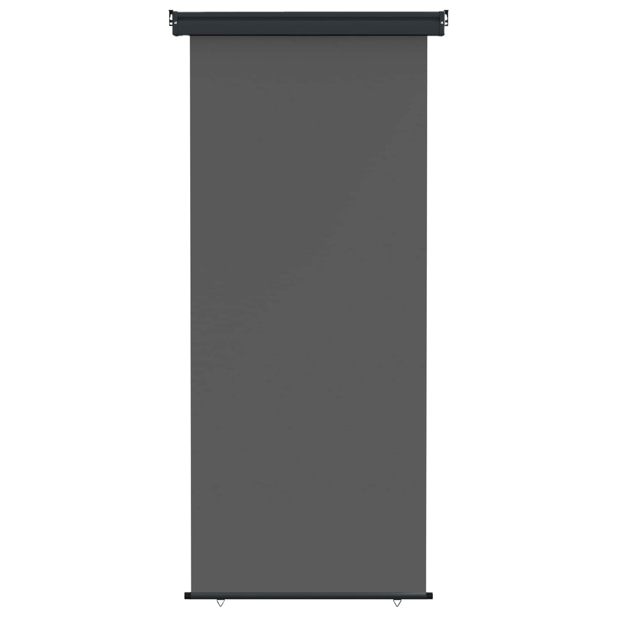 Balkon Sideskærm 100 x 250 cm 100% polyester jern stål Antracit