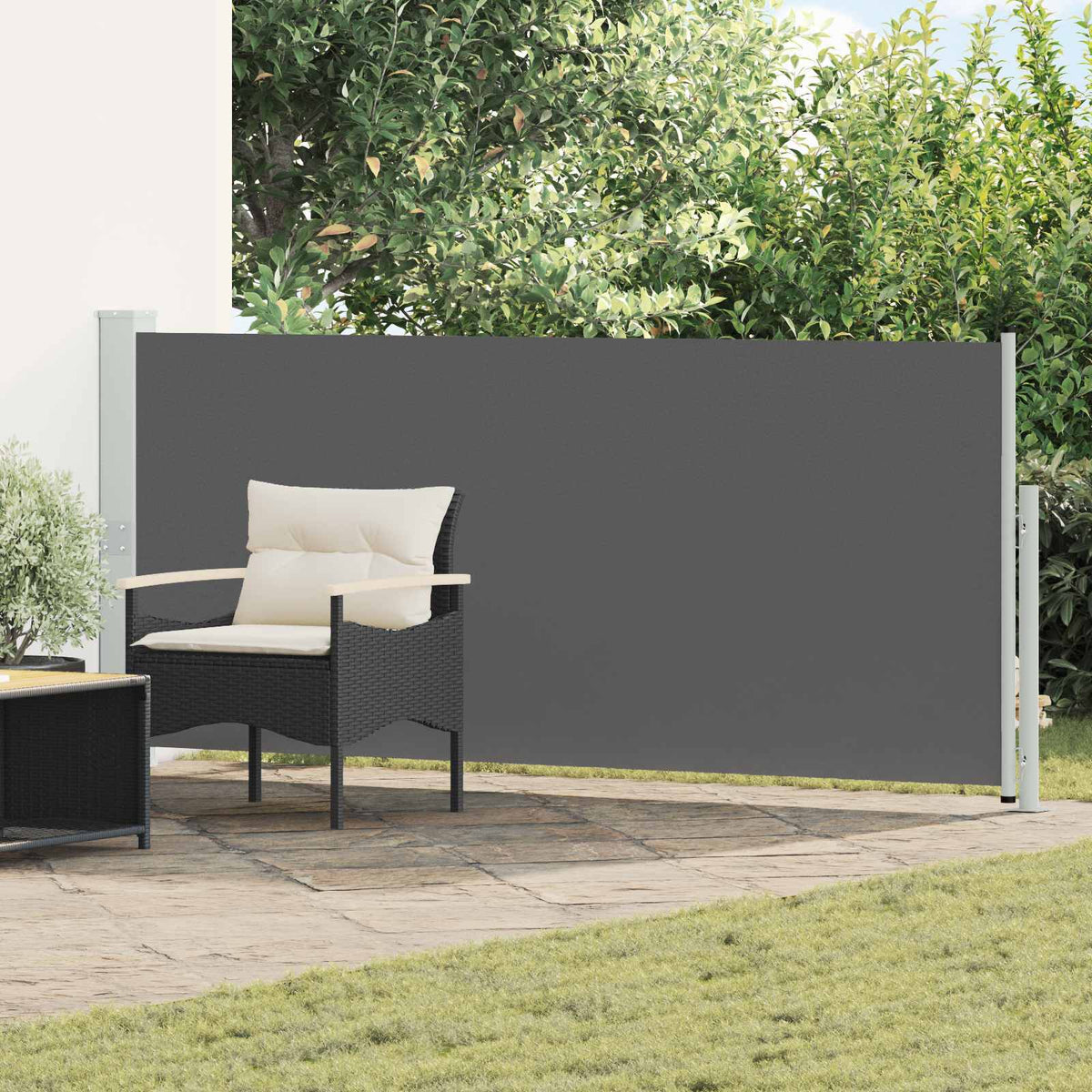 Udtrækkeligt side-markise Rektangulær 170 x 300 cm Polyester