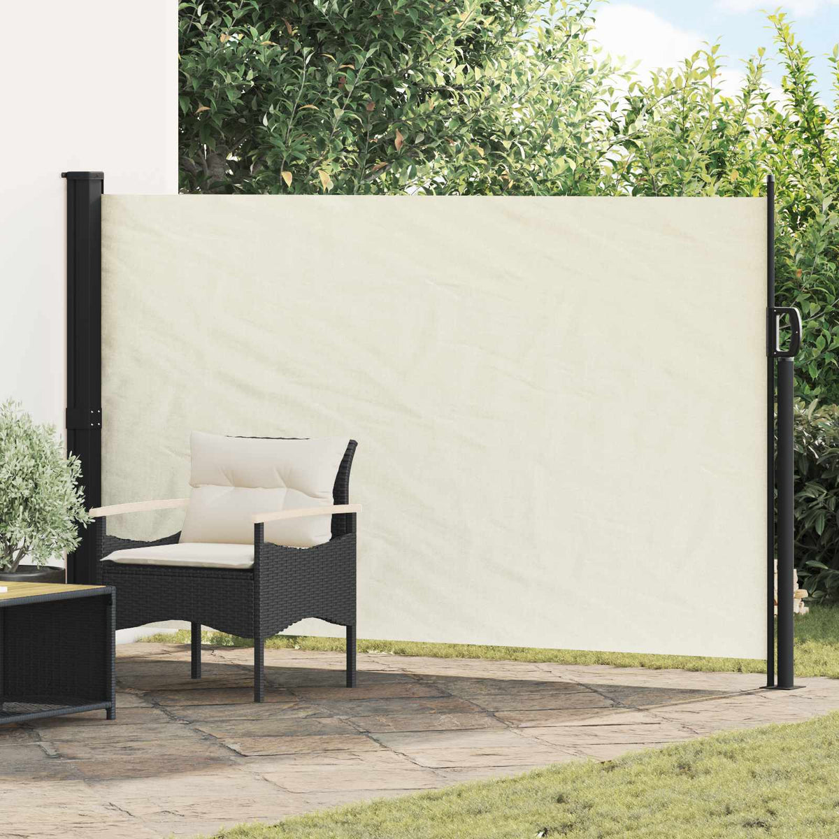 Udtrækkeligt side-markise 300 x 170 cm Polyester Rektangulær