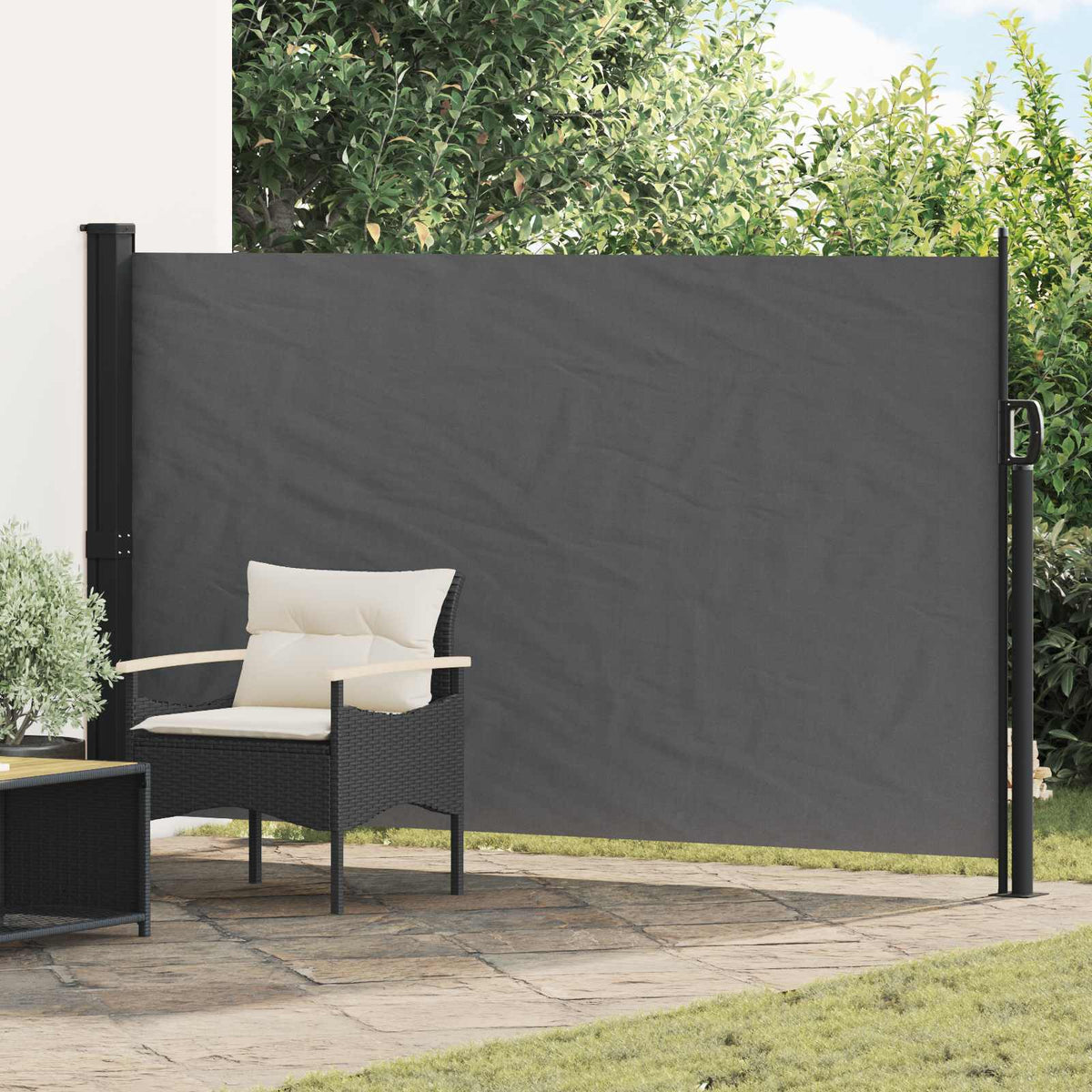 Udtrækkeligt side-markise 300 x 170 cm Polyester Rektangulær