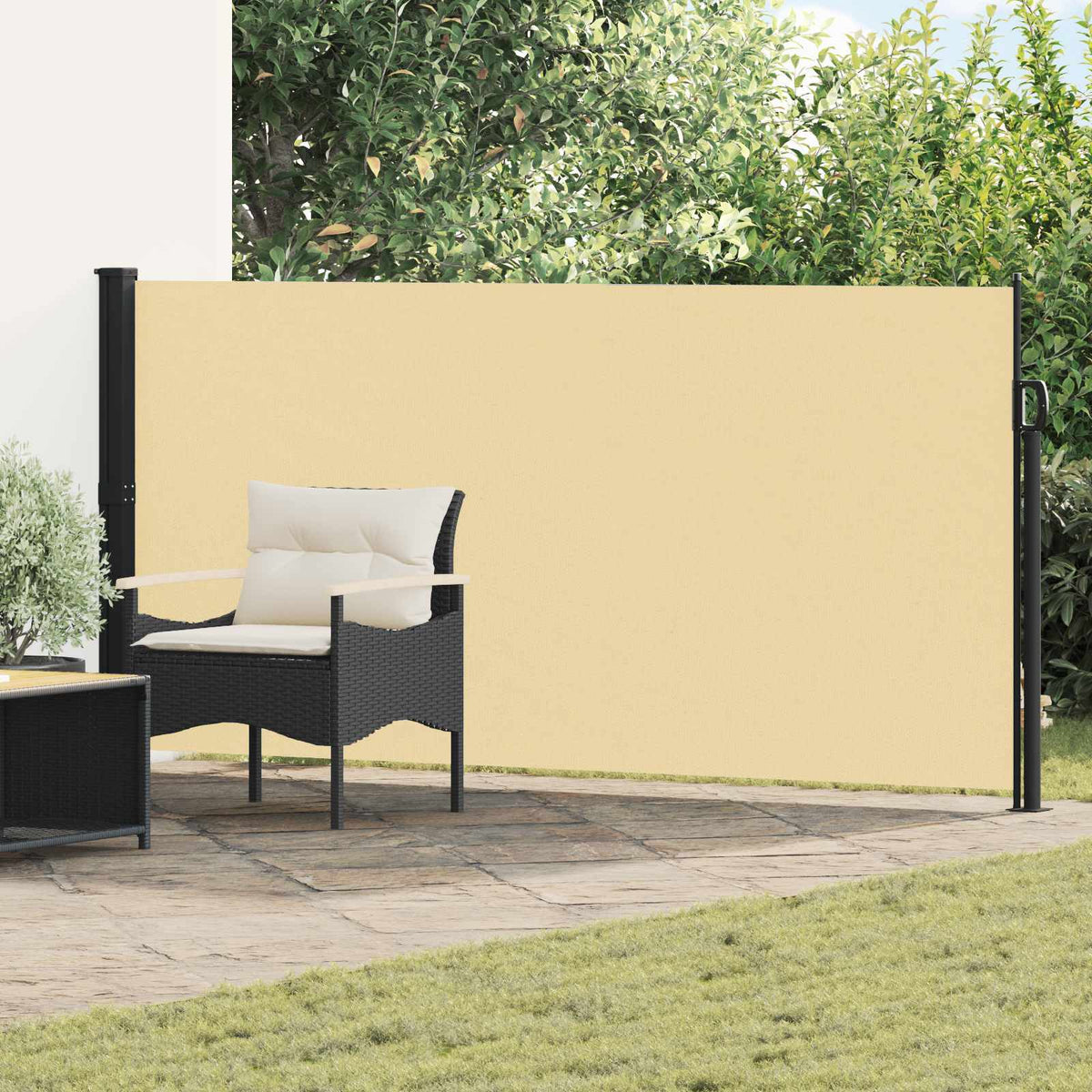 Udtrækkeligt side-markise 600 x 160 cm Polyester Rektangulær