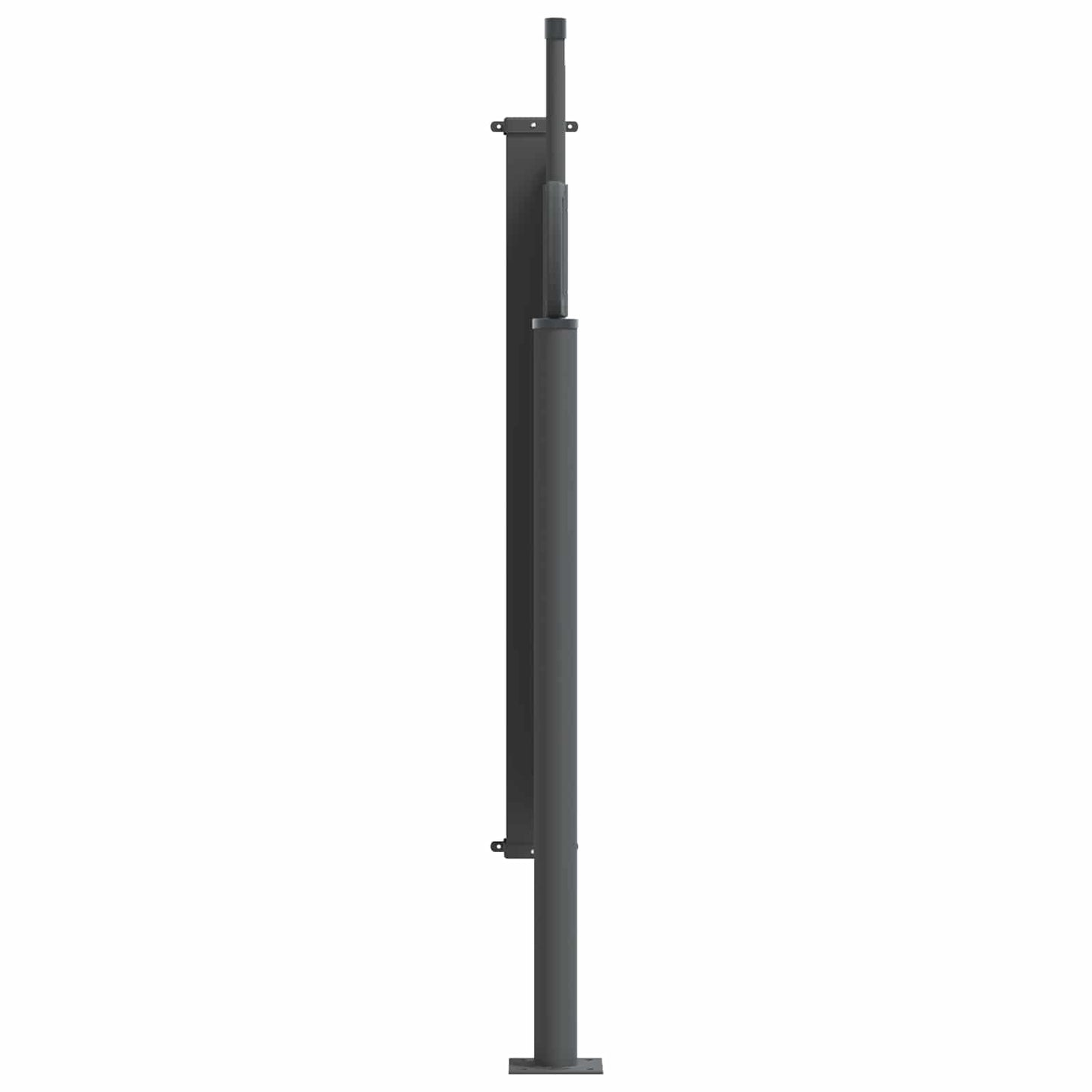 Udtrækkeligt side-markise 300 x 100 cm Polyester Rektangulær