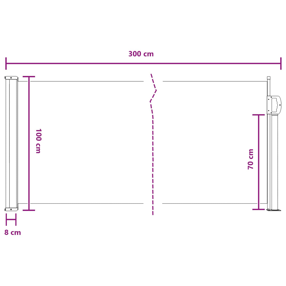 Udtrækkeligt side-markise 300 x 100 cm Polyester Rektangulær