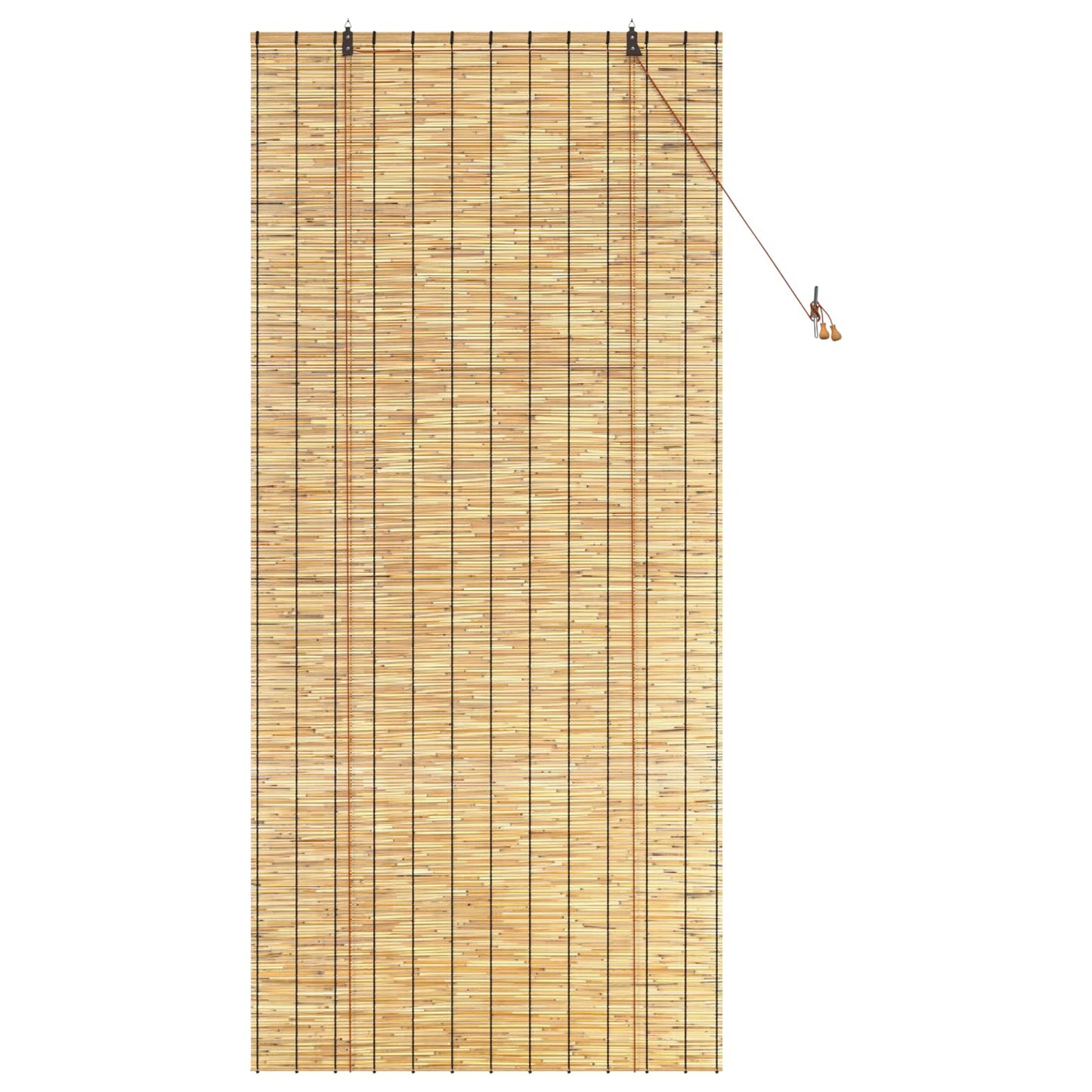 Rullegardin Naturfarvet 100 x 220 cm Rør