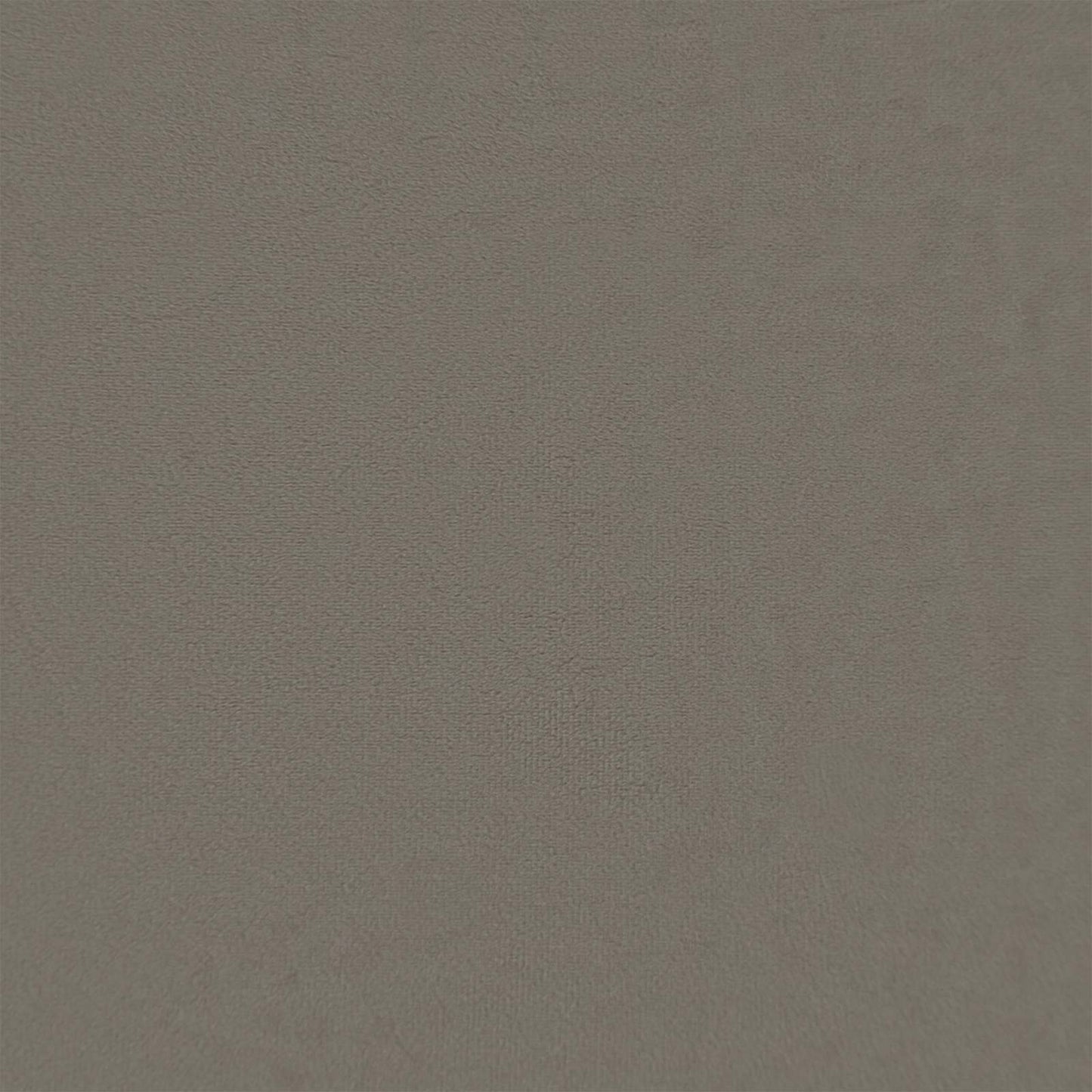 Pudebetræk 6 pcs HOUTEN Lysegrå 30 x 30 cm Fløjl