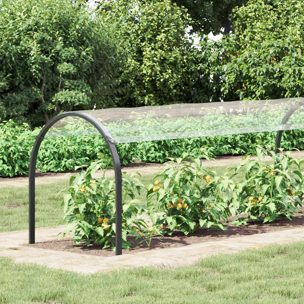 Planteovertræk Transparent 1 x 12 m PVC