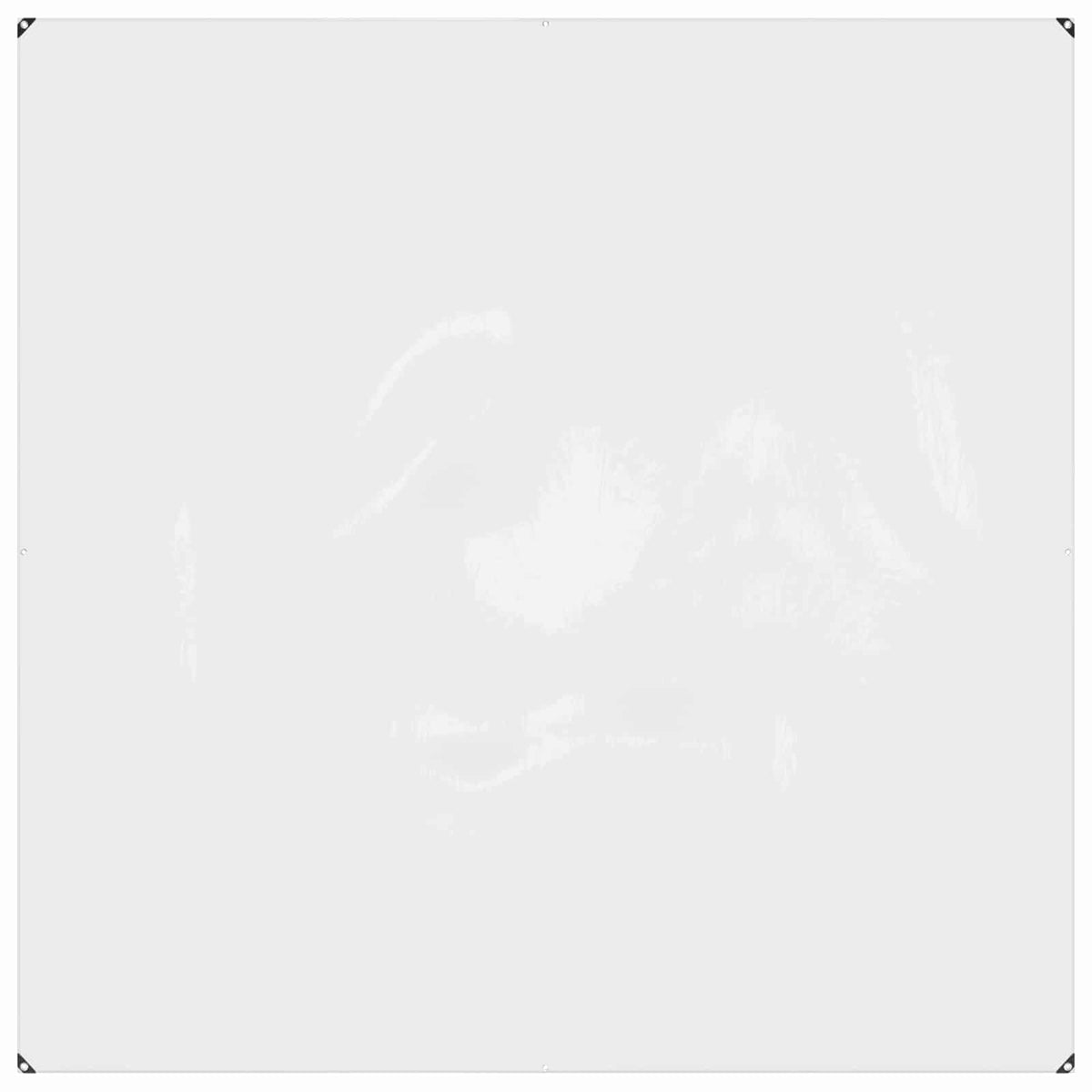 Planteovertræk Transparent 2 x 2 m PVC