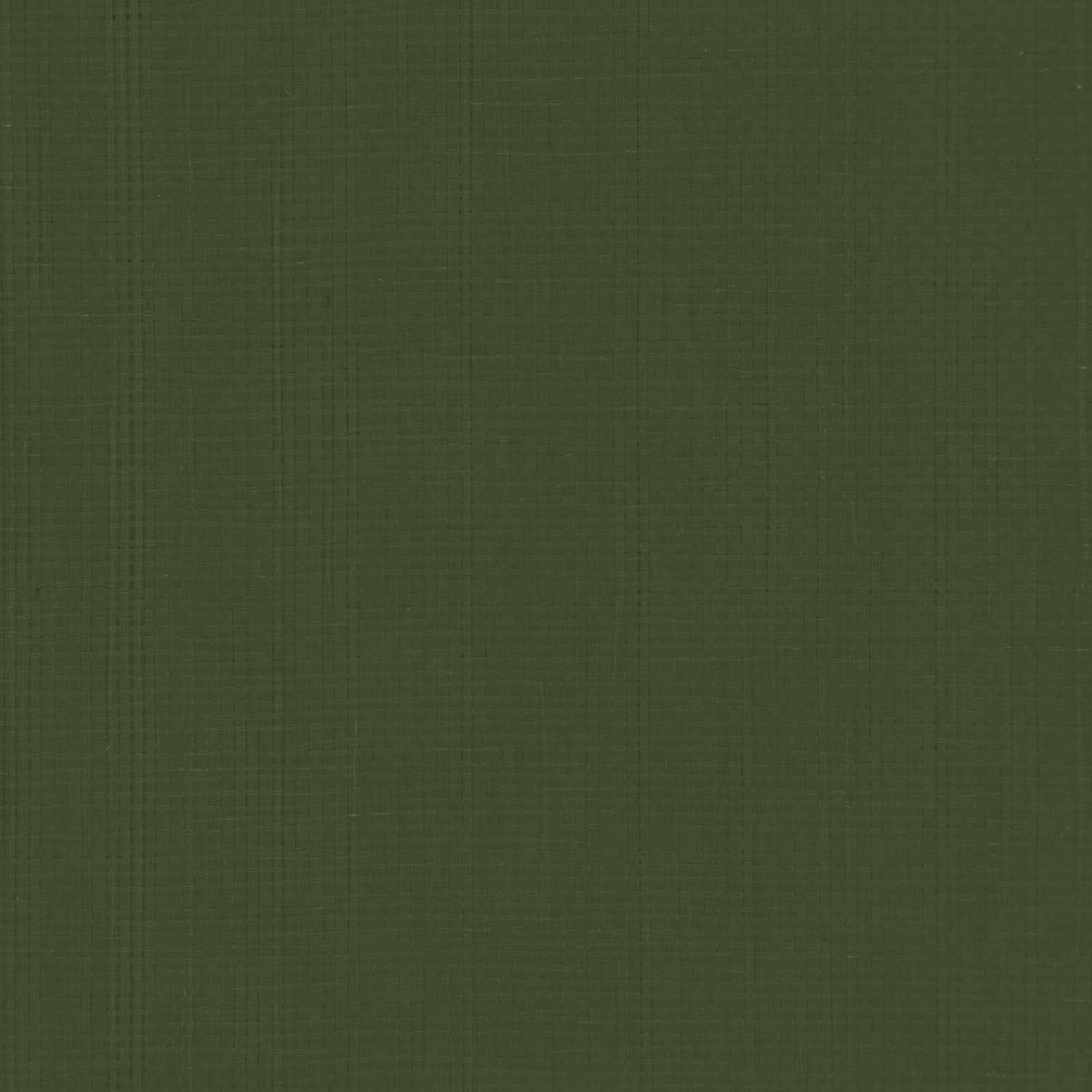 Presenning med øjer Grøn 4 x 5 m 180 gsm PE